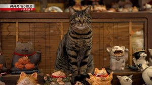 Aichi: Lead by Beckoning Cats