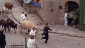 Caroline and the Bullfighter (2)