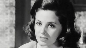 Episode #2.146 (pp-260)