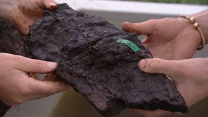 A Bronze-Age Barrow and Walkway - Flag Fenn, Cambridgeshire