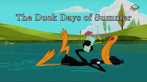 The Duck Days of Summer