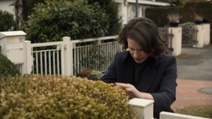 A woman for certain hours