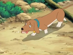 Moririre's True Nature