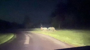 Alien Orbs and Lightning Balls