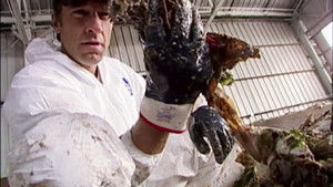 Garbage Pit Technician