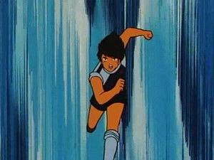 The tiger fights alone