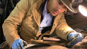 Stolen Fortune of the Pirate Mummy