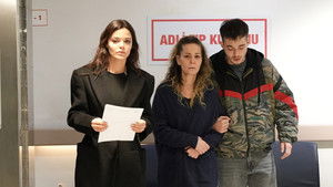 Like a Scattered Pomegranate