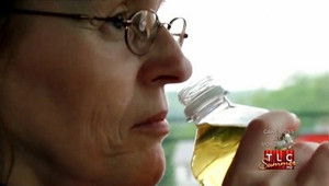 Sniffing Gasoline; Teddy Bears