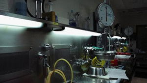 Alison Martin and Justin Terpstra