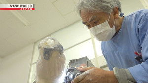 Prosthetics Pioneer - Usui Fumio