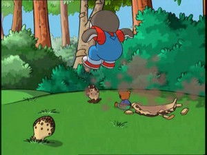 Charley in the Forest