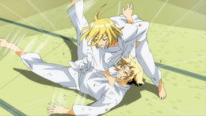 Make your choice!! If you're going to make a wish...