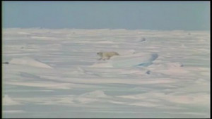 On the Arctic Ice Pack