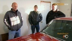 Fleetline Superflip Frenzy