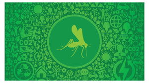 The worldwide distribution of mosquitoes