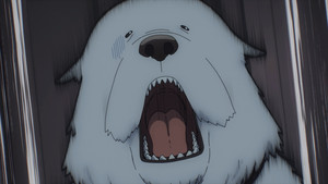 NIGHTFALL / FIRST FIT OF JEALOUSY