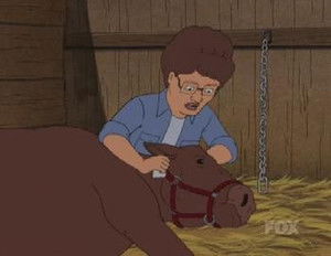 A Rover Runs Through It