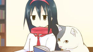 A School Where Cats Can Attend