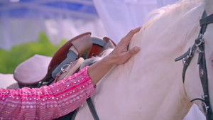 Palash messes with Deva