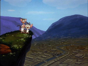 Where the Deer and The Mousealopes Play