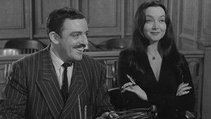 The Addams Family in Court