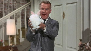 Operation Shaggy Dog