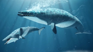 How Whale Evolution Kind Of Sucked