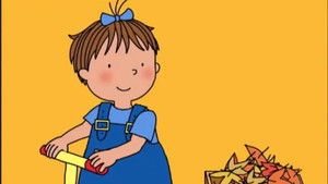 Butterflies and Flowers