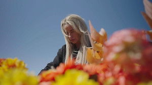 A Shooting in Aintree