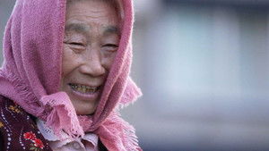 From Seed to Shop: Grandma's Pickles