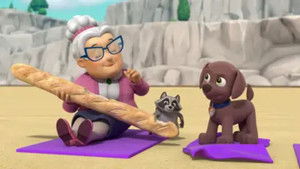 Pups Save the Wacky Water Skiers