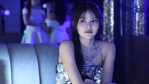 Fish Bowl & Fish Tank