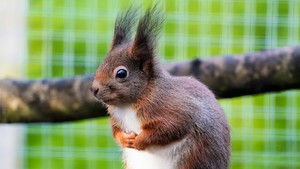 Summer 2023: Episode 8