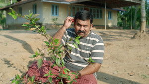 Not Heaven, But Hell