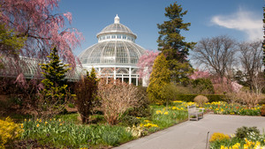The New York Botanical Garden