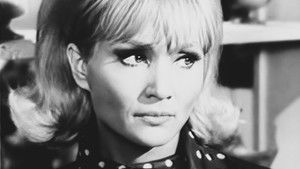 Episode #2.129 (pp-243)