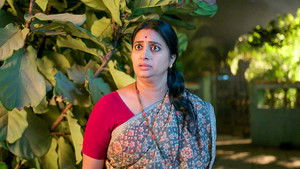 Vaijayanti Fumes at Mallesh