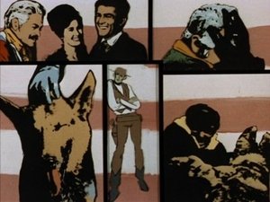 The Night of the Wolf