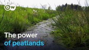 Climate protection from moors