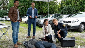 Stadler's Barn Festival