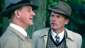 In the Shadow of War