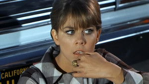 Log 062: Grand Theft Horse?