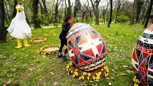 Oh Egg, Where Art Thou