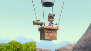 Choo Choo the Donkey