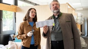 Now they're in a fine mess