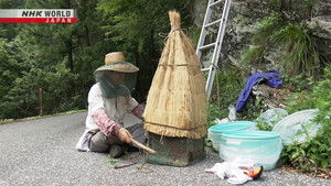 Return to an Abandoned Village: 50 Years in Tsubayama
