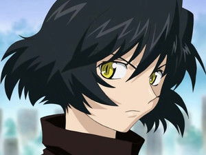 The Gale Monster Cat