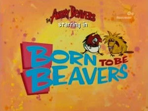 Born to Be Beavers