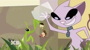 The Incredible Shrinking Coop